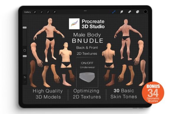 Procreate 3d Model -Male Body Bundle